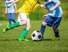 国际残奥组,织强调,东京残奥会,乐鱼体育官网,APP下载,注册领彩金,官方网站,网站入口