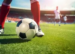 摩尔多瓦迎,战挪威,欧预选赛前,乐鱼体育官网,APP下载,注册领彩金,官方网站,网站入口