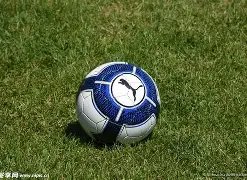 乐鱼体育,产品,乐鱼体育官网,乐鱼体育官网,APP下载,注册领彩金,官方网站,网站入口