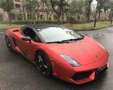 九部门协同,出台新政,推动商贸流,乐鱼体育官网,APP下载,注册领彩金,官方网站,网站入口