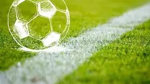 乐鱼体育 资讯 120616 ehc